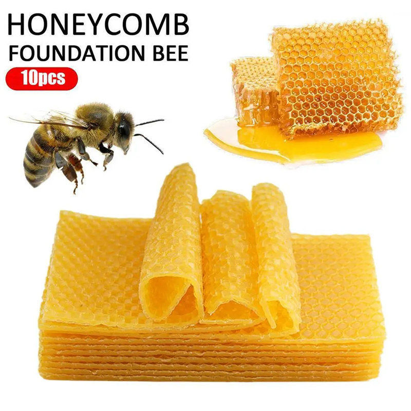 10/20Pcs Natural Beeswax Sheet - đánh giá và giá Candle Supplies Beeswax