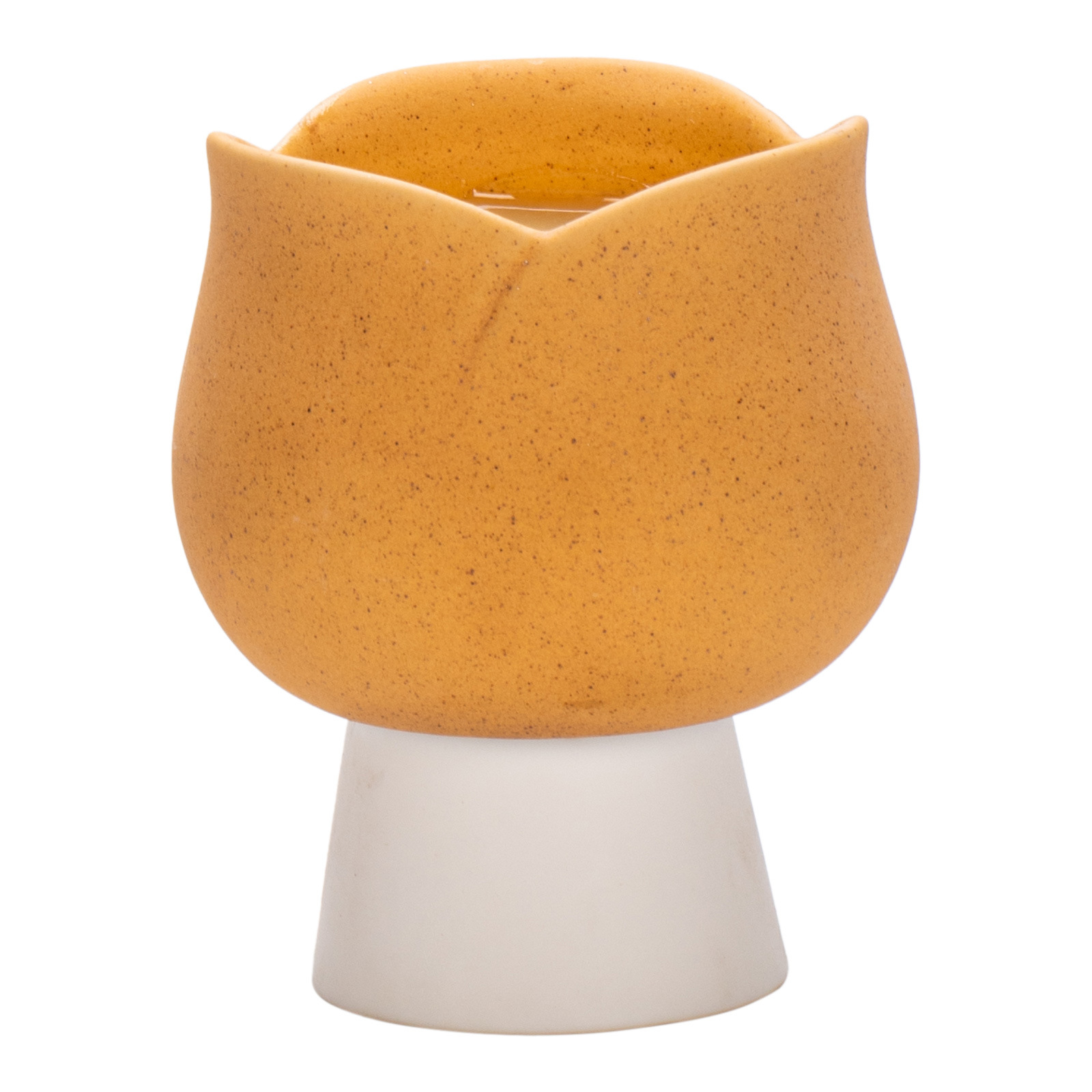 Europe Lovely Tulips Ceramic C - đánh giá và giá Candle Supplies Europe